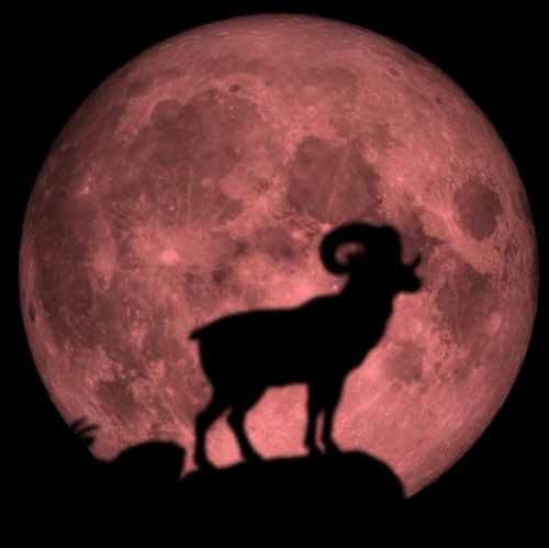 Moon in Aries